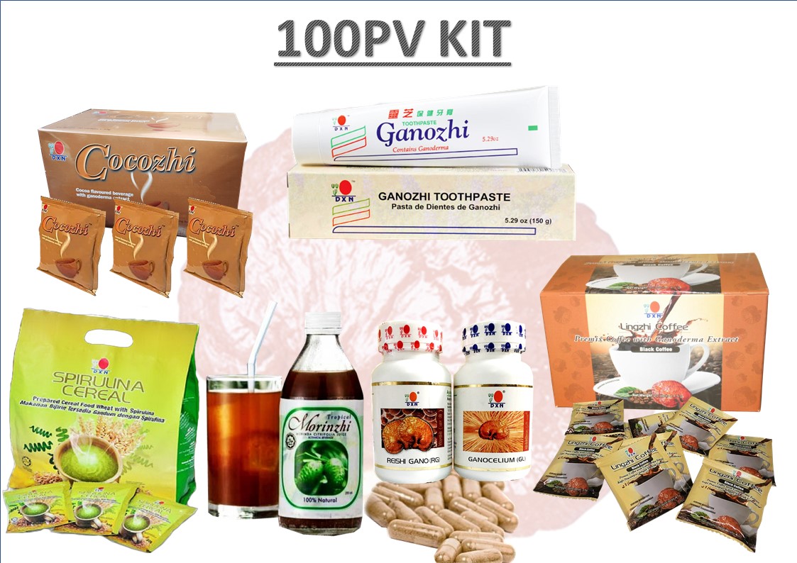 100_pv_kit