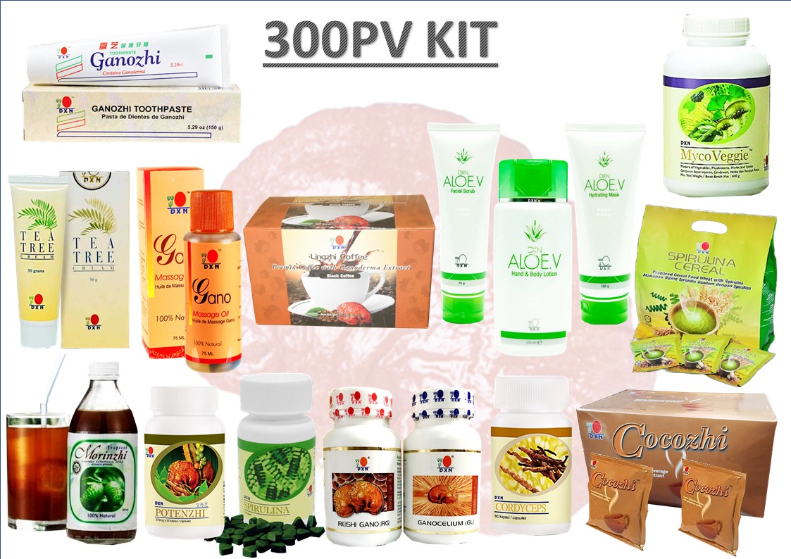 300pv_kit