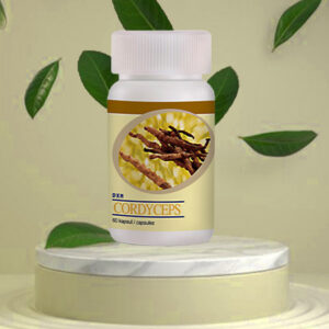 Cordyceps Capsules