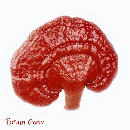 Brain Gano
