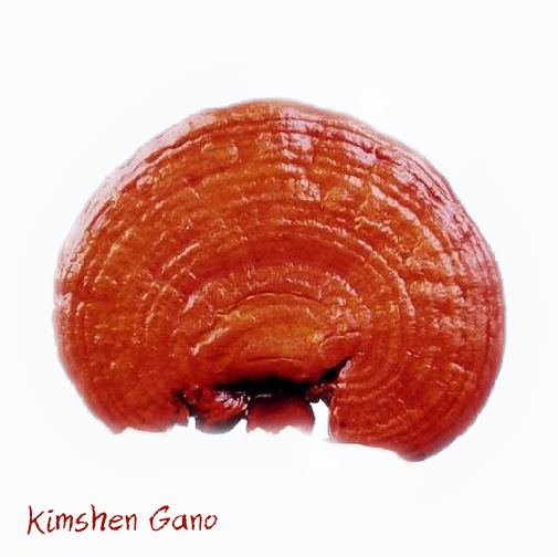 Kimshen Gano
