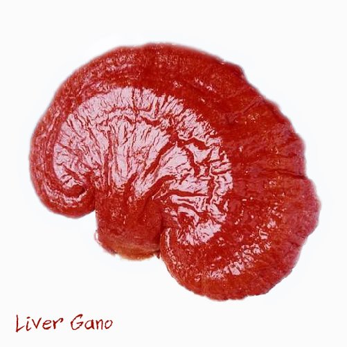 Liver Gano