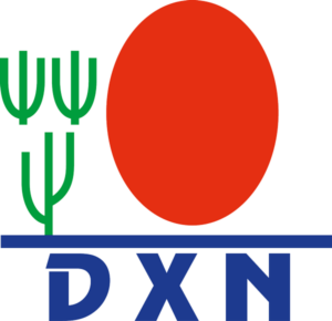 1993_logo